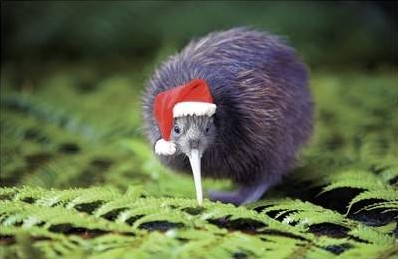 A Very Kiwi Christmas